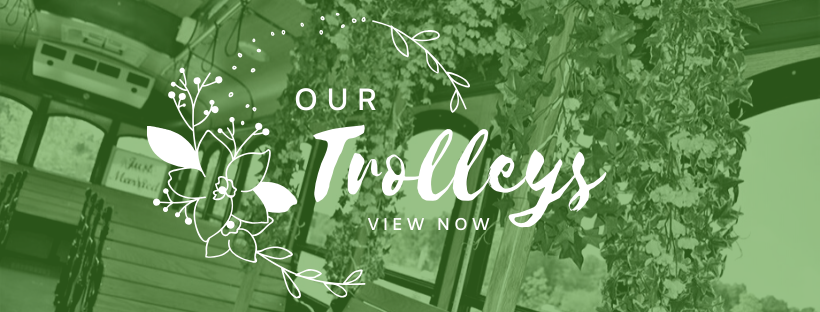 Click Here to View Out Trolleys